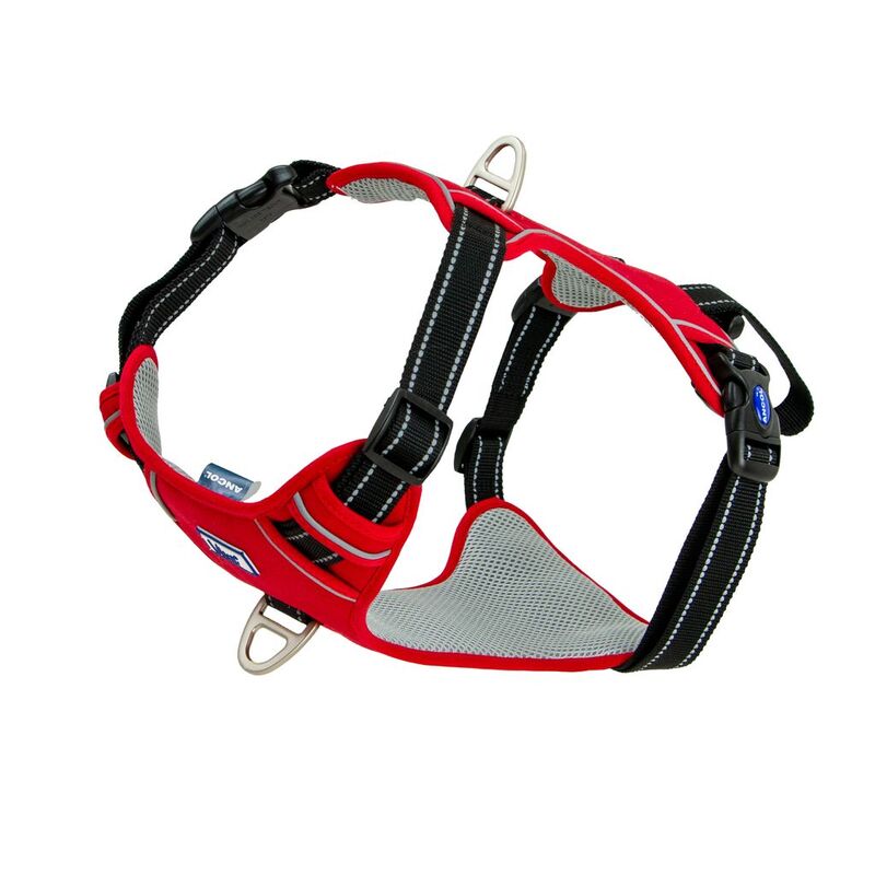 Ancol Viva Exercise & Travel Harness