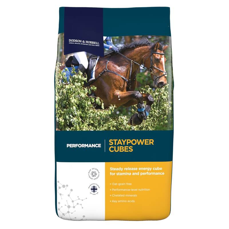 Dodson & Horrell Performance Staypower Cubes 20kg