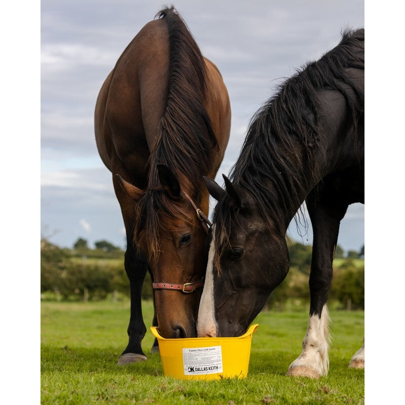 DK Equine Flexi Tub Garlic 12.5kg