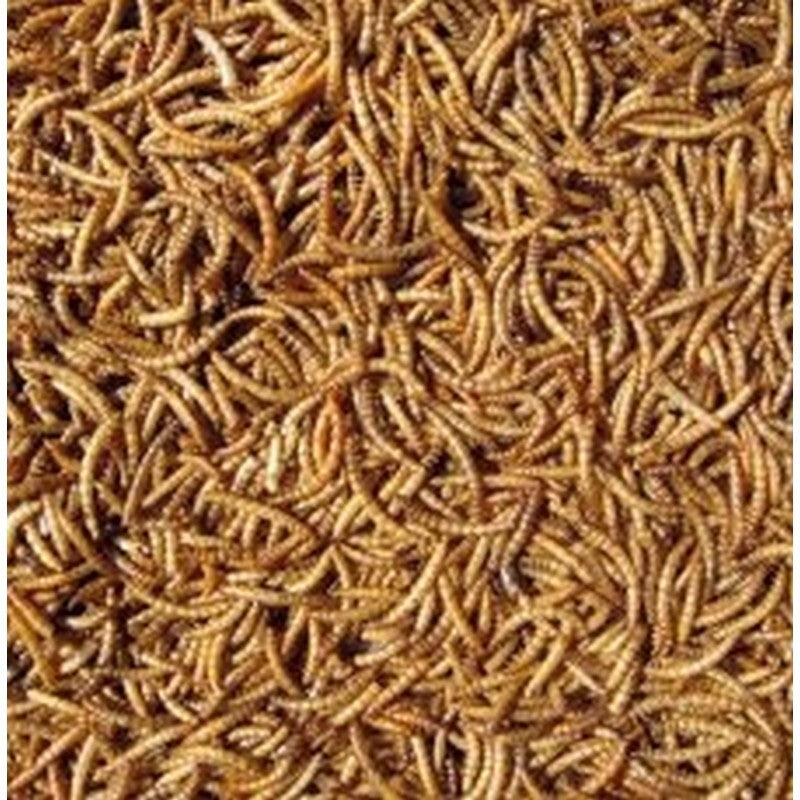 Hutton Mill Dried Mealworms