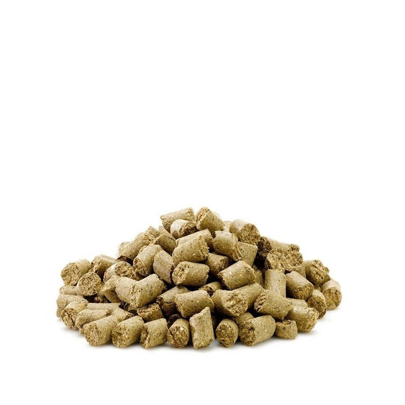 Saracen Munchies