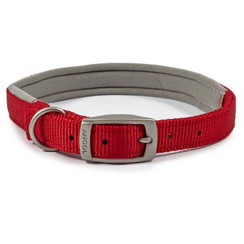 Ancol Viva Padded Buckle Collar Red 45-54cm
