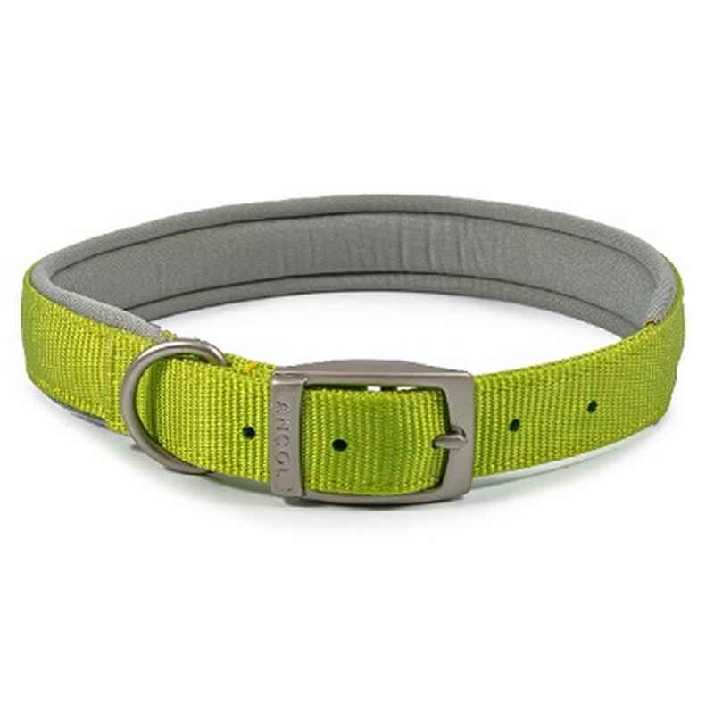 Ancol Viva Padded Buckle Collar Lime 45-54cm