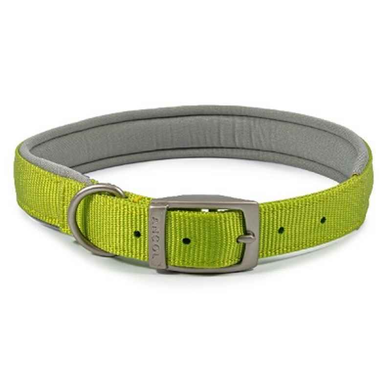 Ancol Viva Padded Buckle Collar Lime 50-59cm