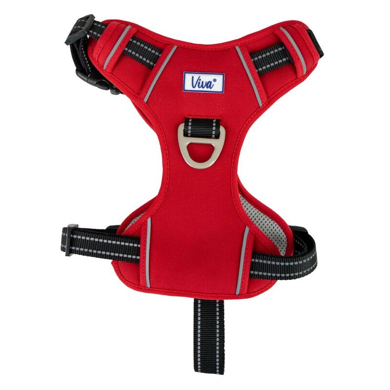 Ancol Viva Exercise & Travel Harness