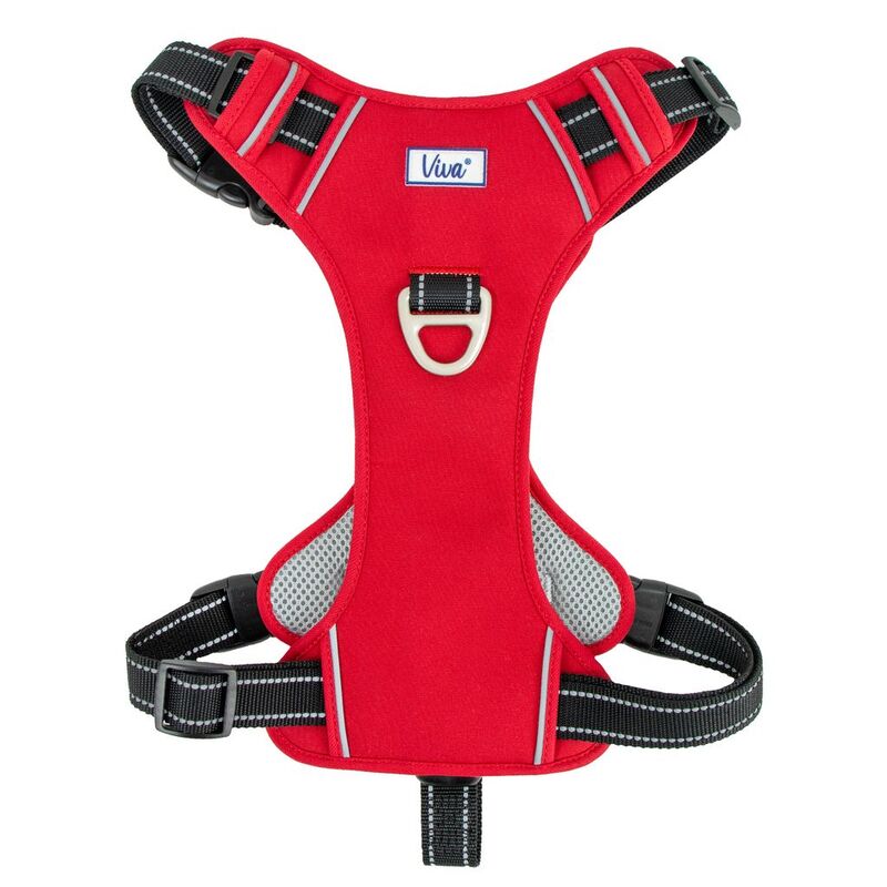 Ancol Viva Exercise & Travel Harness