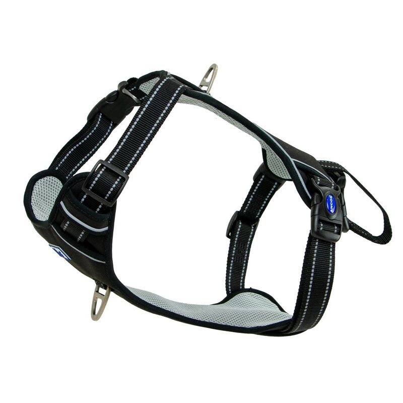 Ancol Viva Exercise & Travel Harness