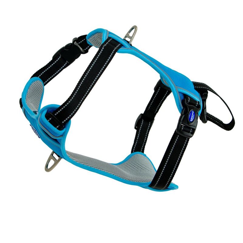 Ancol Viva Exercise & Travel Harness