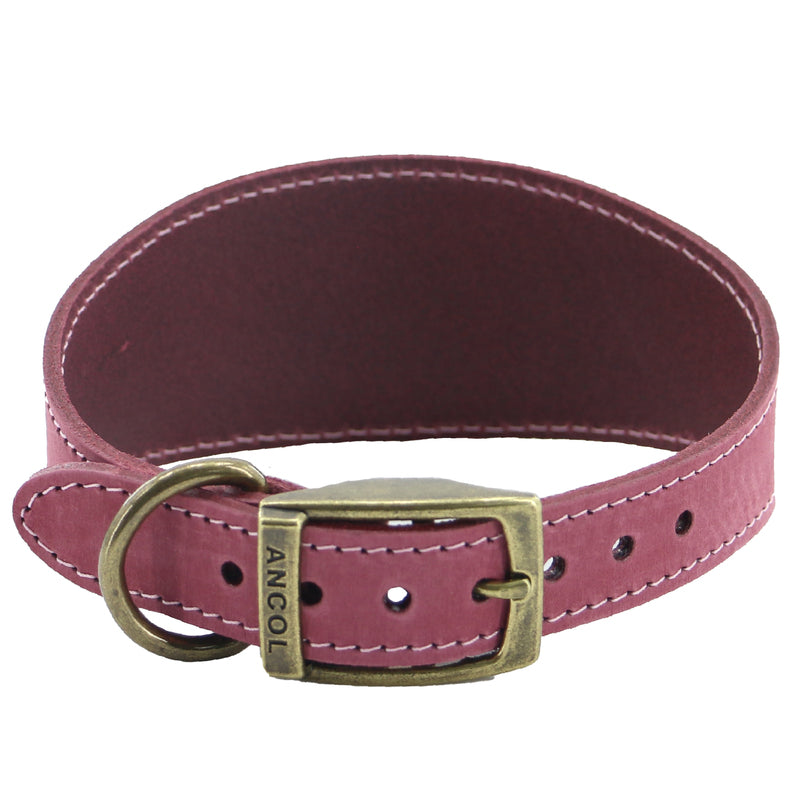 Ancol Heritage Collection Timberwolf Leather Greyhound Collar 34-43cm