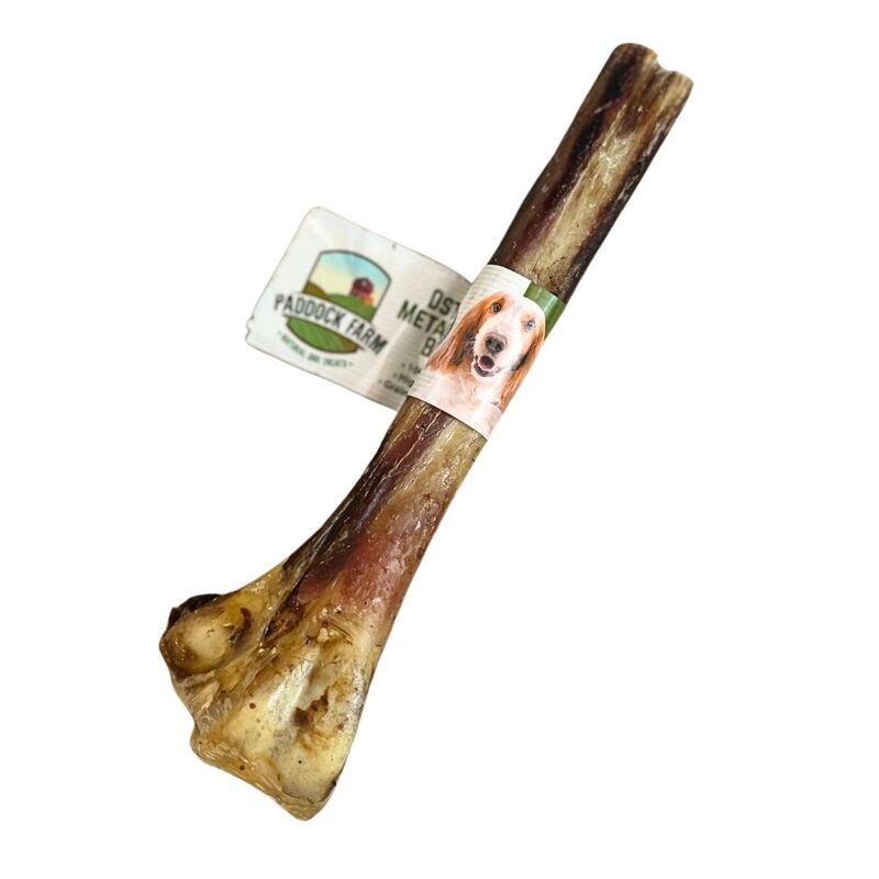 Nova Dog Chews Ostrich Pack
