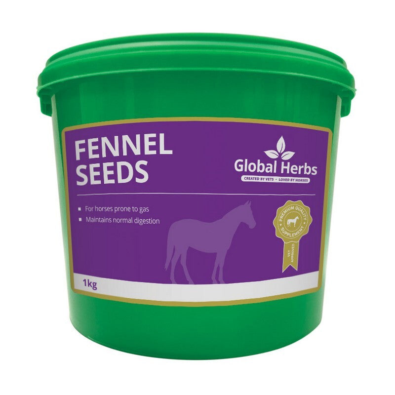 Global Herbs Fennel 1kg