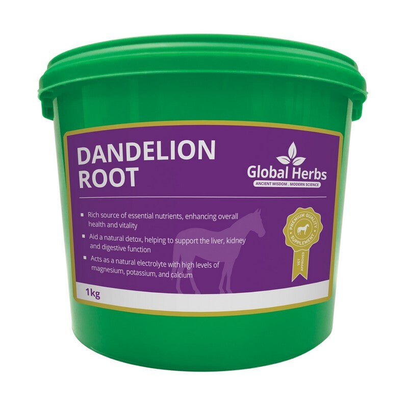 Global Herbs Dandelion Root Powder 1kg