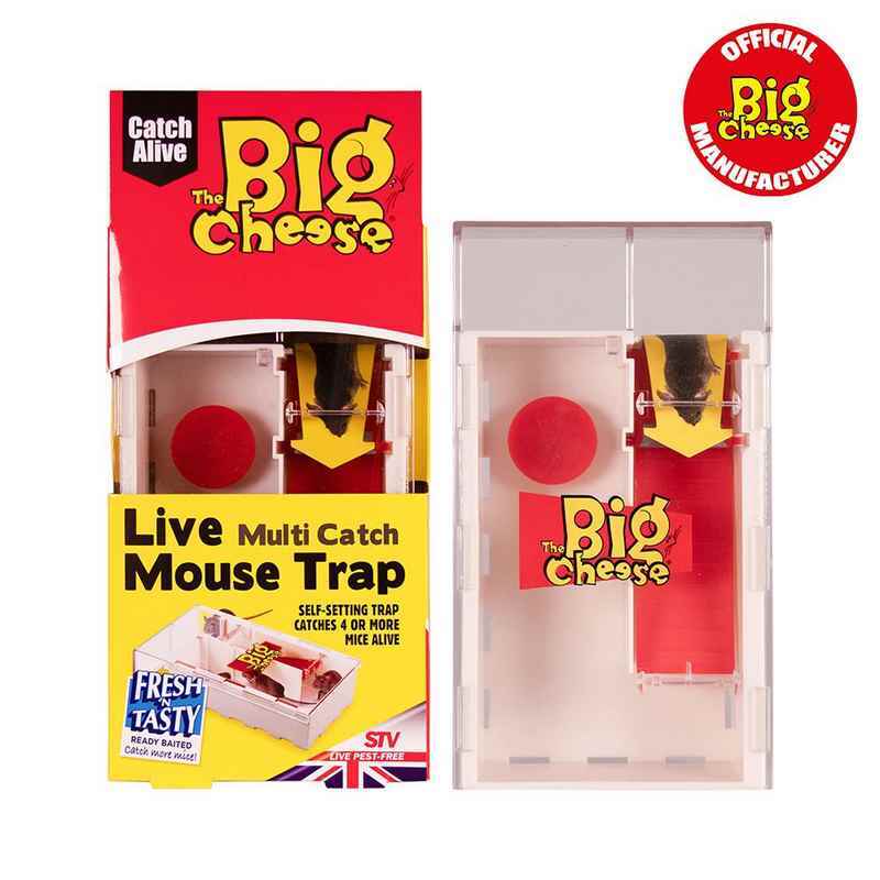 The Big Cheese Mouse Trap Multi Catch