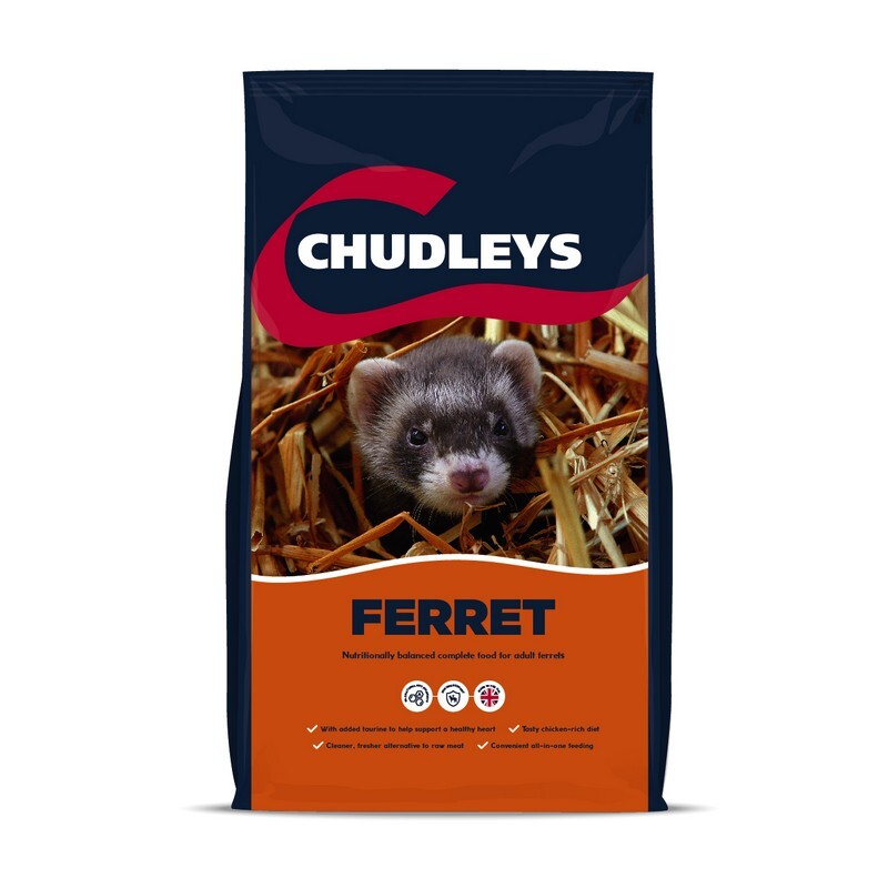 Chudleys Ferret