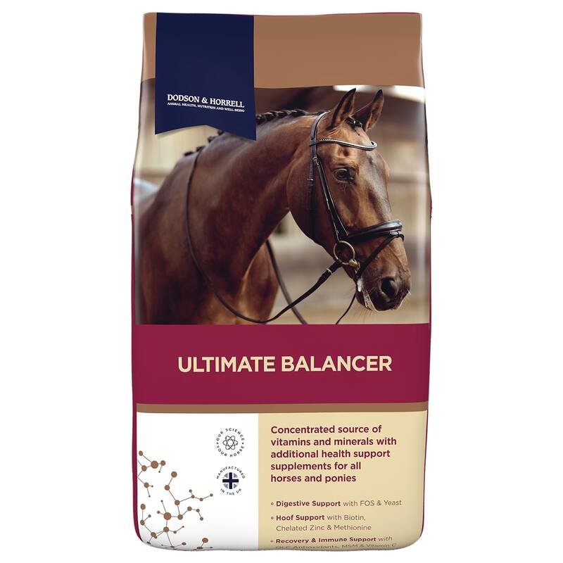 Dodson & Horrell Ultimate Balancer 20kg