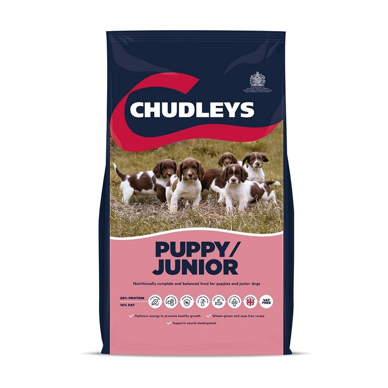 Chudleys Puppy/Junior