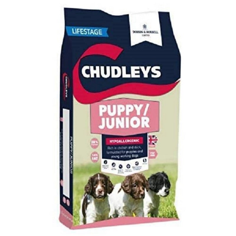 Chudleys Puppy/Junior