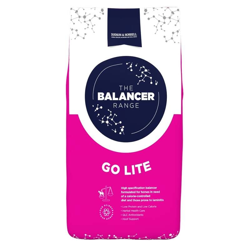 Dodson & Horrell Go Lite Balancer 15kg