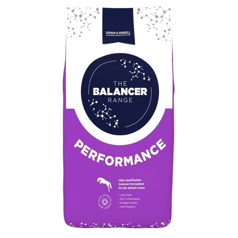 Dodson & Horrell Performance Balancer 15kg