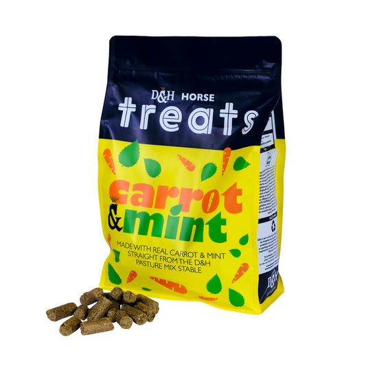 Dodson & Horrell Carrot & Mint Horse Treats 1kg x 10