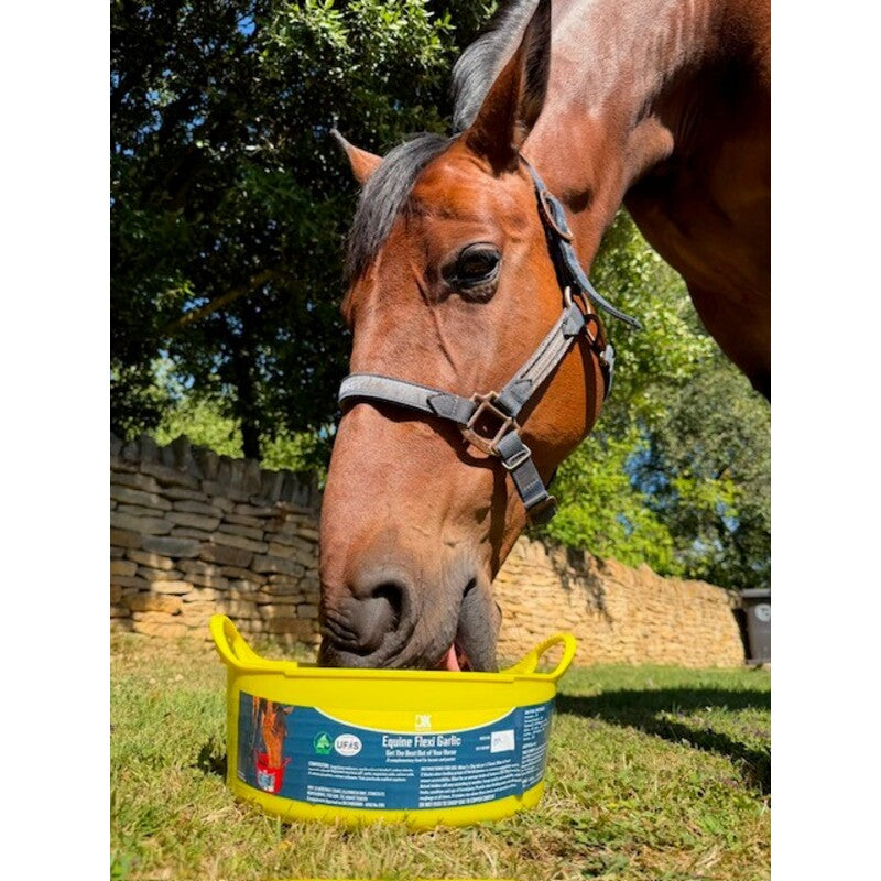 DK Equine Flexi Tub Garlic 5kg