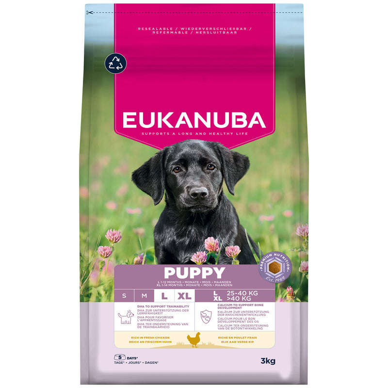 Eukanuba Puppy Large Breed Chicken