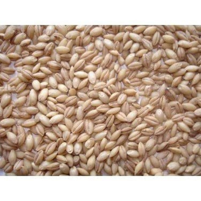 Johnston & Jeff Whole English Barley 20kg