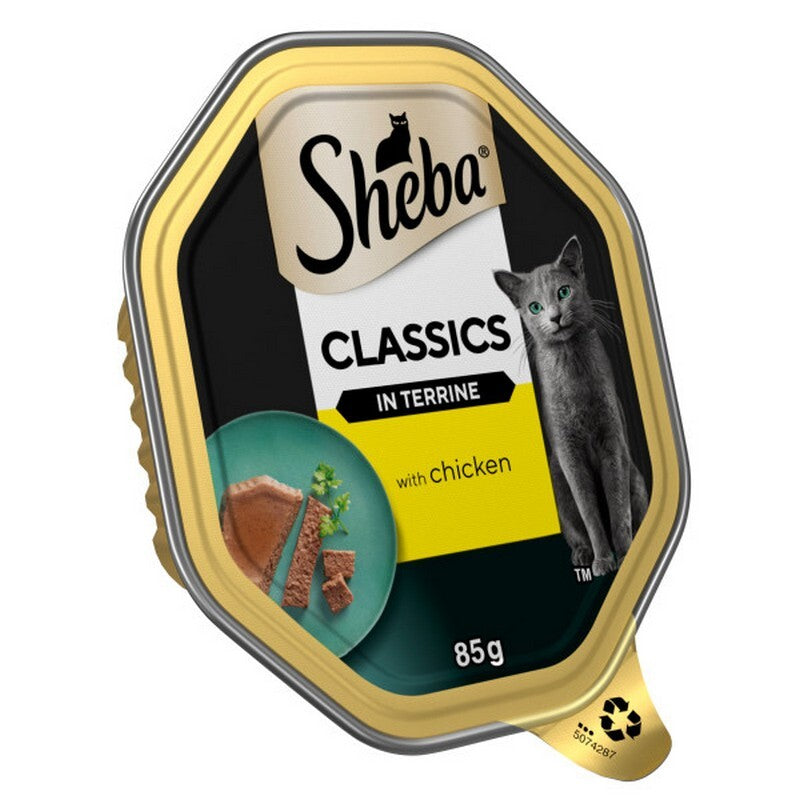 Sheba Tray Classic Chicken in Terrine 85g x 22