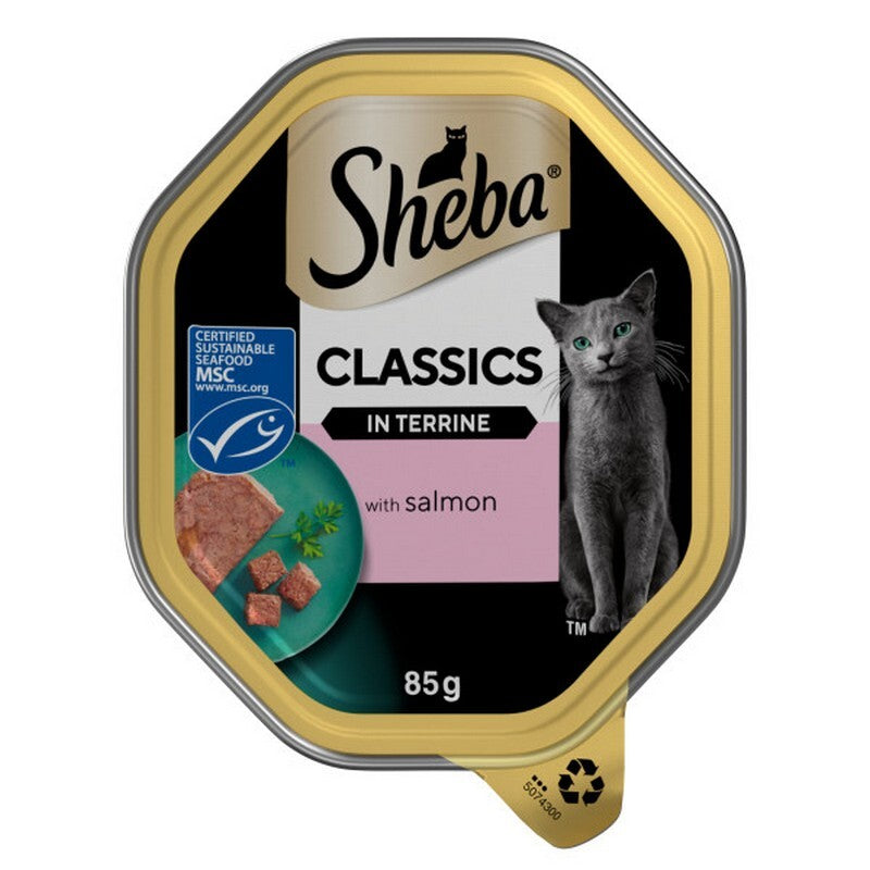 Sheba Tray Classic Salmon in Terrine 85g x 22