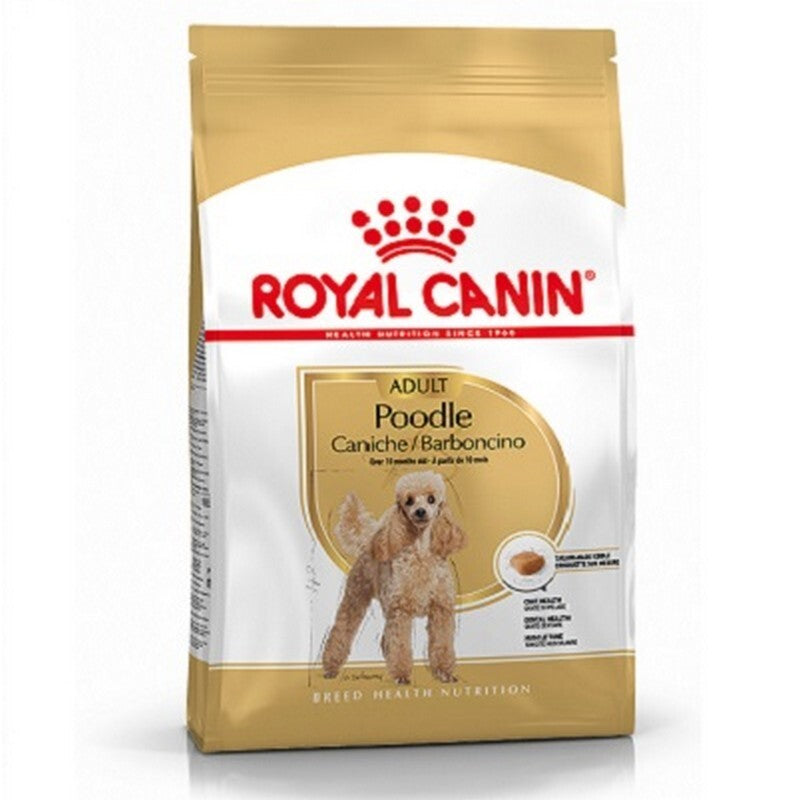 Royal Canin Poodle Adult