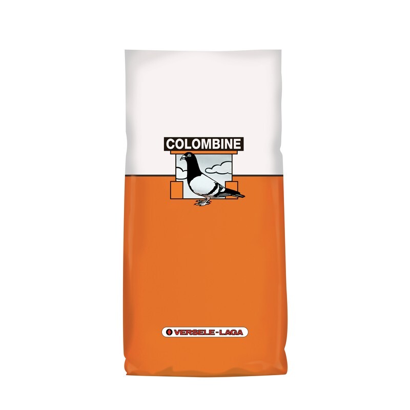 Versele Laga Colombine Bianco Parquet White